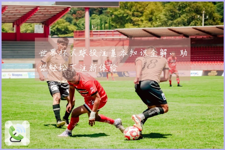 世界杯买球投注基本知识全解，助你轻松下注新体验