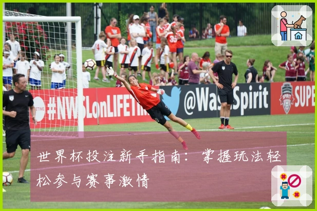 世界杯投注新手指南：掌握玩法轻松参与赛事激情