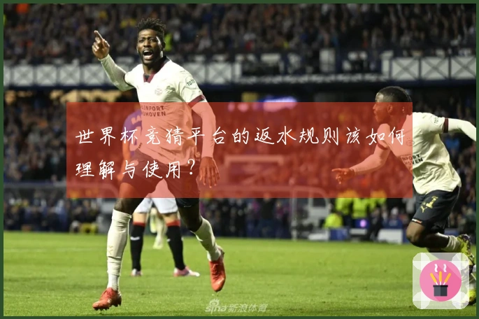 世界杯竞猜平台的返水规则该如何理解与使用？