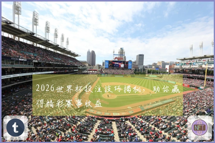 2026世界杯投注技巧揭秘，助你赢得精彩赛事收益
