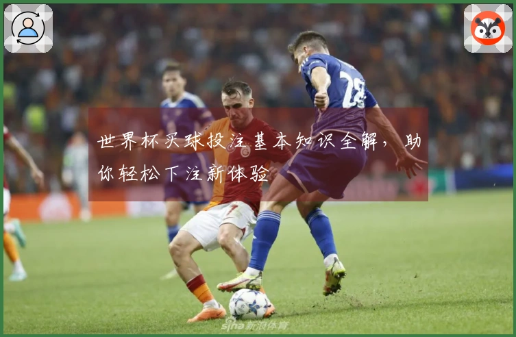世界杯买球投注基本知识全解，助你轻松下注新体验