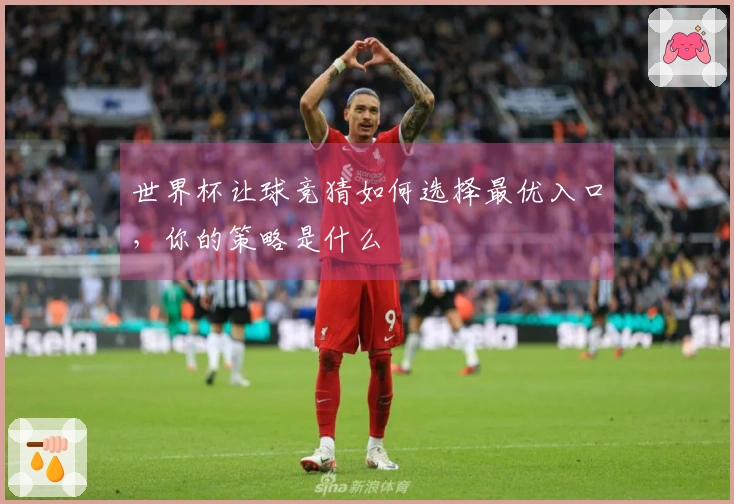 世界杯让球竞猜如何选择最优入口，你的策略是什么
