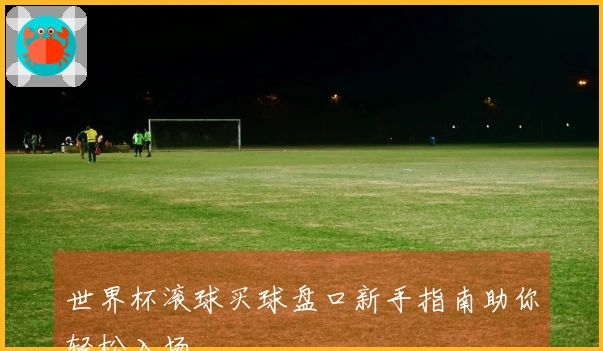 世界杯滚球买球盘口新手指南助你轻松入场