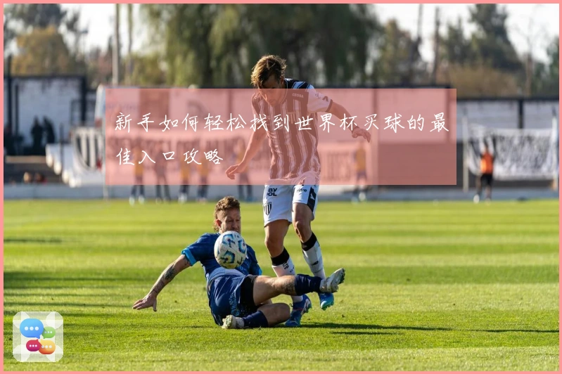新手如何轻松找到世界杯买球的最佳入口攻略