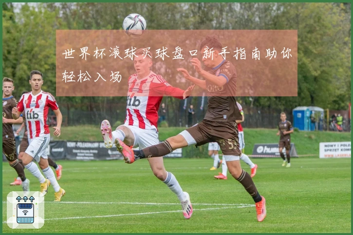世界杯滚球买球盘口新手指南助你轻松入场