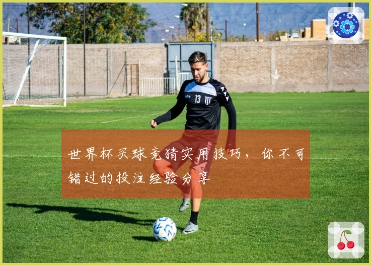 世界杯买球竞猜实用技巧，你不可错过的投注经验分享