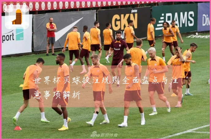 世界杯买球投注规则全面盘点与注意事项解析