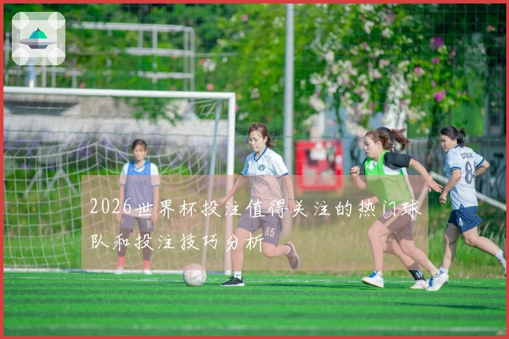 2026世界杯投注值得关注的热门球队和投注技巧分析