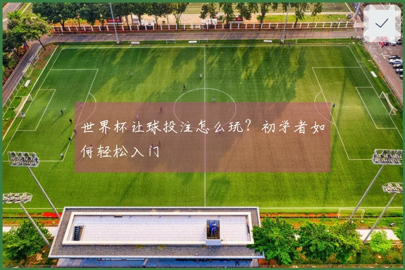 世界杯让球投注怎么玩？初学者如何轻松入门