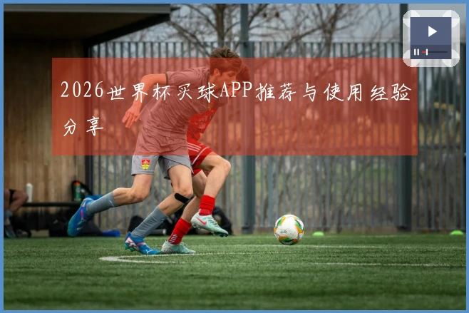 2026世界杯买球APP推荐与使用经验分享