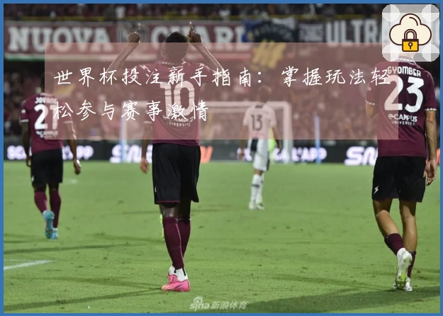 世界杯投注新手指南：掌握玩法轻松参与赛事激情