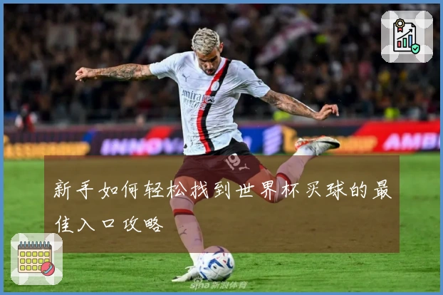 新手如何轻松找到世界杯买球的最佳入口攻略