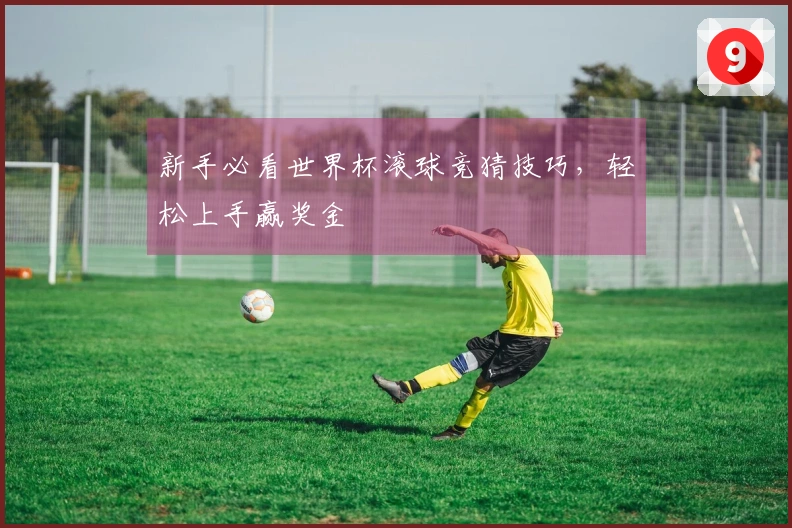 新手必看世界杯滚球竞猜技巧，轻松上手赢奖金
