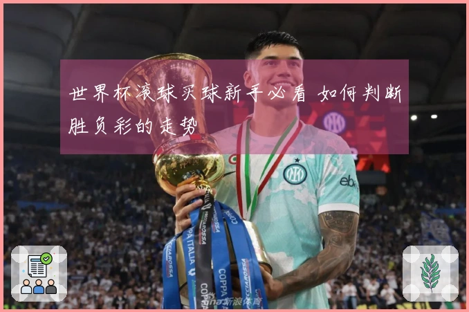世界杯滚球买球新手必看 如何判断胜负彩的走势