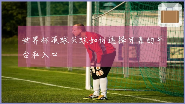 世界杯滚球买球如何选择可靠的平台和入口