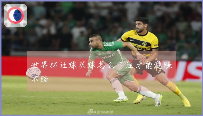 世界杯让球买球怎么下注才能稳赚不赔