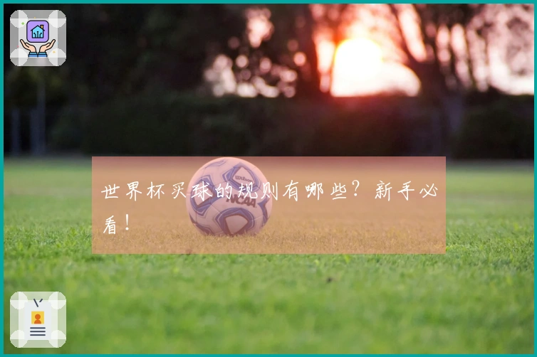世界杯买球的规则有哪些?新手必看!