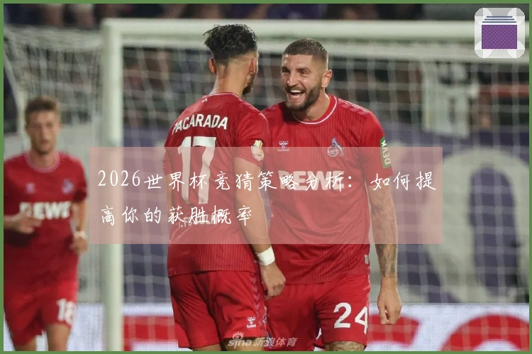 2026世界杯竞猜策略分析：如何提高你的获胜概率