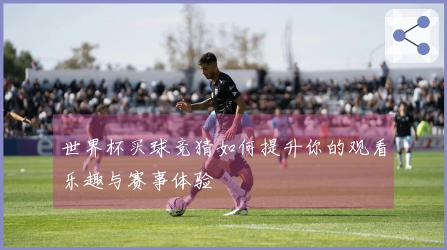 世界杯买球竞猜如何提升你的观看乐趣与赛事体验