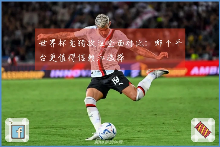 世界杯竞猜投注全面对比：哪个平台更值得信赖和选择