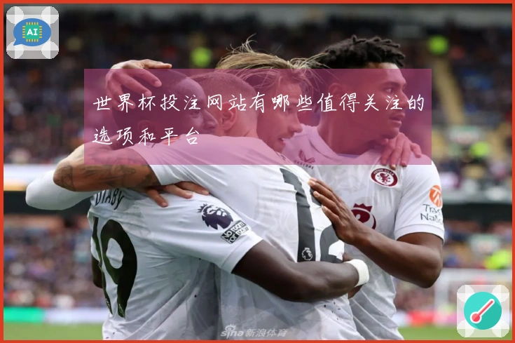 世界杯投注网站有哪些值得关注的选项和平台
