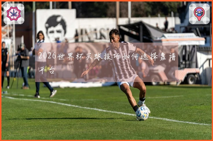 2026世界杯买球技巧如何选择靠谱平台