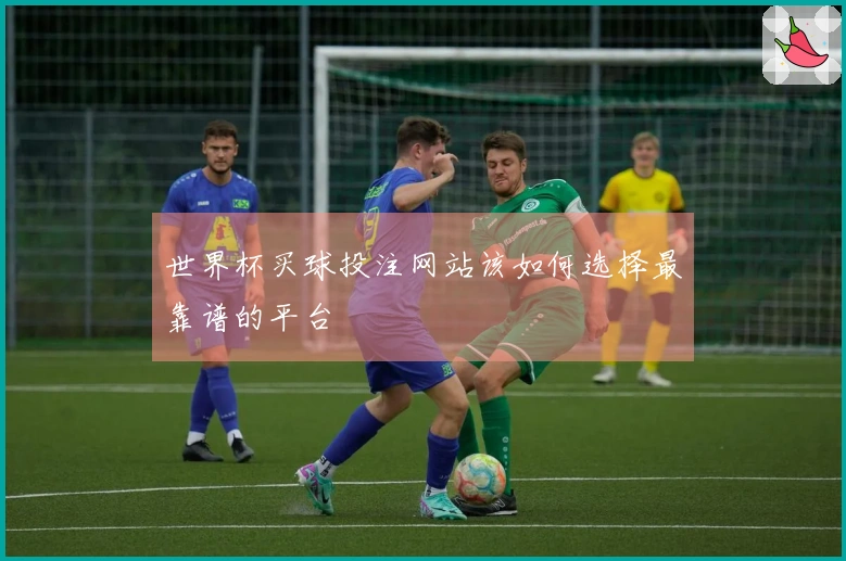 世界杯买球投注网站该如何选择最靠谱的平台