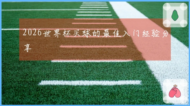 2026世界杯买球的最佳入门经验分享
