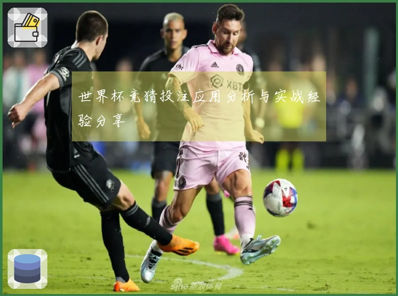 世界杯竞猜投注应用分析与实战经验分享