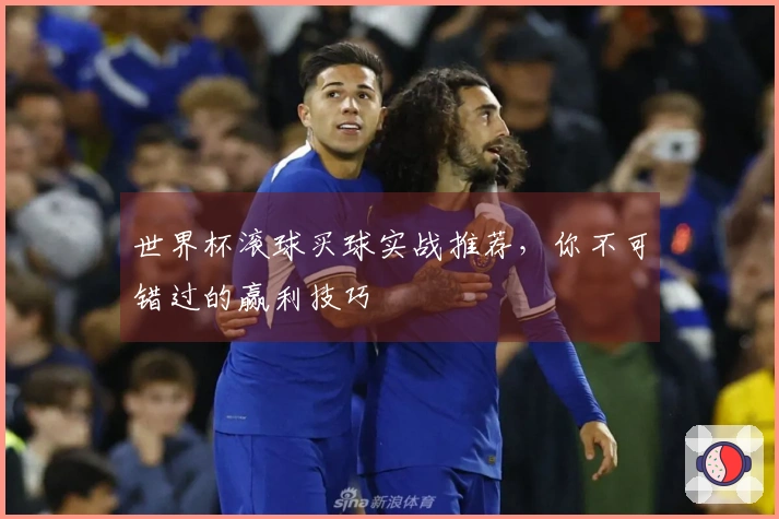 世界杯滚球买球实战推荐，你不可错过的赢利技巧